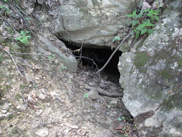 img_2656.jpg - The entrance to Pit Up Straight Creek Cave